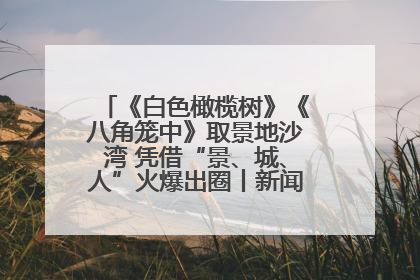 《白色橄榄树》《八角笼中》取景地沙湾 凭借“景、城、人”火爆出圈丨新闻发布最前线