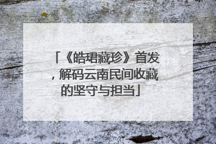 《皓珺藏珍》首发，解码云南民间收藏的坚守与担当