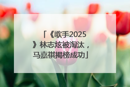 《歌手2025》林志炫被淘汰，马嘉祺揭榜成功
