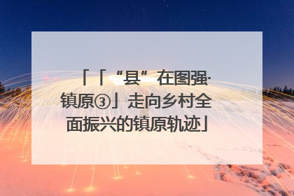 「“县”在图强·镇原③」走向乡村全面振兴的镇原轨迹