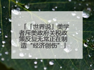 「世界说」美学者斥美政府关税政策反复无常正在制造“经济创伤”