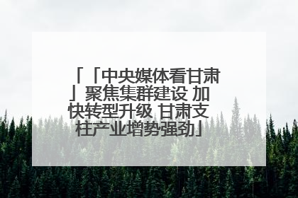 「中央媒体看甘肃」聚焦集群建设 加快转型升级 甘肃支柱产业增势强劲
