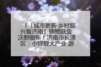 「城市更新·乡村振兴看济南」锦鲤跃金 沃野图新！济南市长清区：小锦鲤大产业 游出农旅新风景
