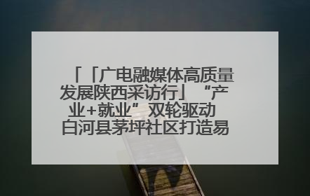 「广电融媒体高质量发展陕西采访行」“产业+就业”双轮驱动 白河县茅坪社区打造易地搬迁后扶新样本