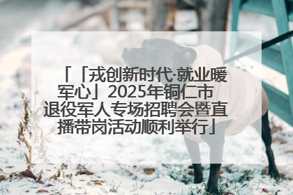 「戎创新时代·就业暖军心」2025年铜仁市退役军人专场招聘会暨直播带岗活动顺利举行