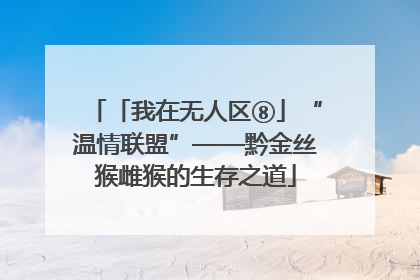 「我在无人区⑧」“温情联盟”——黔金丝猴雌猴的生存之道