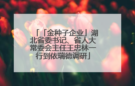「金种子企业」湖北省委书记、省人大常委会主任王忠林一行到依瑞德调研