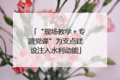 “现场教学＋专题党课”为支点建设注入水利动能