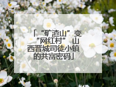 “矿渣山”变“网红村” 山西晋城司徒小镇的共富密码