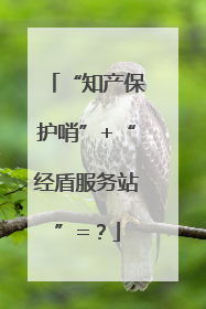 “知产保护哨”+“经盾服务站”=？