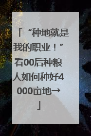 “种地就是我的职业！”看00后种粮人如何种好4000亩地→