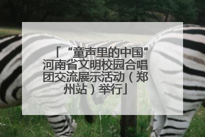 “童声里的中国”河南省文明校园合唱团交流展示活动（郑州站）举行