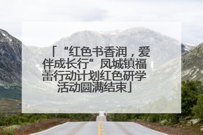 “红色书香润，爱伴成长行”凤城镇福蕾行动计划红色研学活动圆满结束