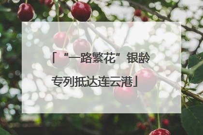 “一路繁花”银龄专列抵达连云港