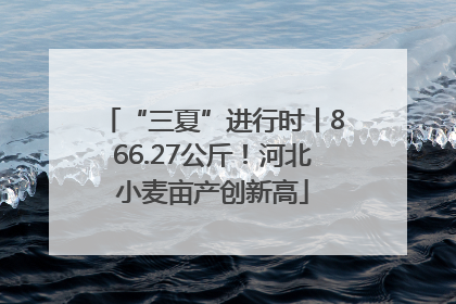 “三夏”进行时丨866.27公斤！河北小麦亩产创新高