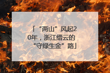 “两山”风起20年，浙江缙云的“守绿生金”路