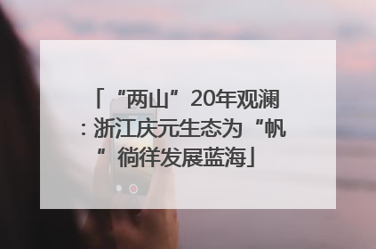 “两山”20年观澜：浙江庆元生态为“帆”徜徉发展蓝海