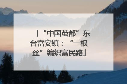 “中国茧都”东台富安镇：“一根丝”编织富民路