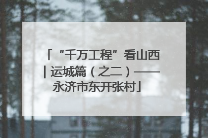 “千万工程”看山西｜运城篇（之二）——永济市东开张村