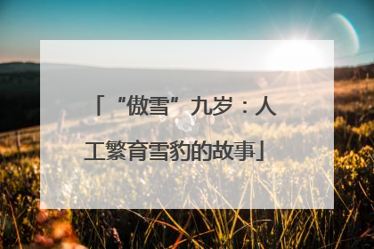 “傲雪”九岁：人工繁育雪豹的故事