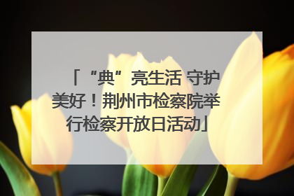 “典”亮生活 守护美好！荆州市检察院举行检察开放日活动