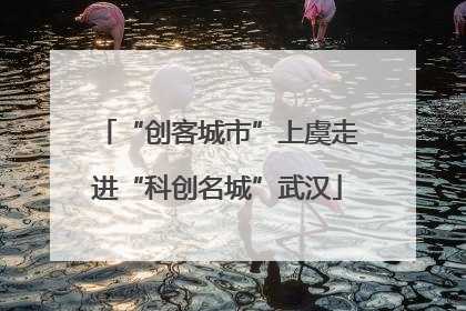 “创客城市”上虞走进“科创名城”武汉