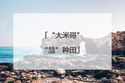 “大米哥”“慧”种田