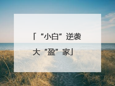 “小白”逆袭大“盈”家