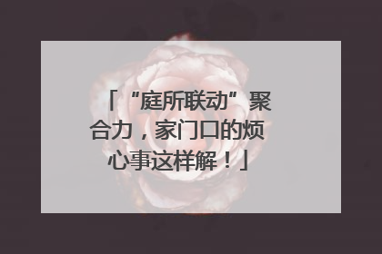 “庭所联动”聚合力，家门口的烦心事这样解！