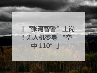 “张湾智警”上岗！无人机变身 “空中 110”