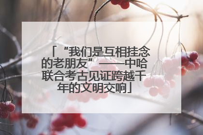 “我们是互相挂念的老朋友”——中哈联合考古见证跨越千年的文明交响