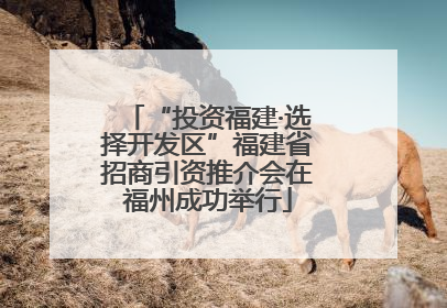 “投资福建·选择开发区”福建省招商引资推介会在福州成功举行
