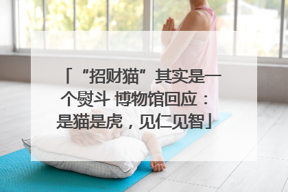 “招财猫”其实是一个熨斗 博物馆回应：是猫是虎，见仁见智
