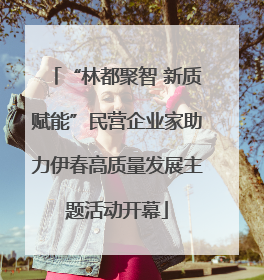 “林都聚智 新质赋能”民营企业家助力伊春高质量发展主题活动开幕