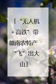 “无人机＋高铁”带赣南农特产“飞”出大山