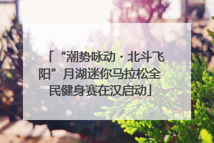 “潮势咏动・北斗飞阳”月湖迷你马拉松全民健身赛在汉启动