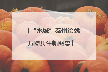 “水城”泰州绘就万物共生新图景