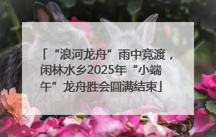 “浪河龙舟”雨中竞渡，闲林水乡2025年“小端午”龙舟胜会圆满结束
