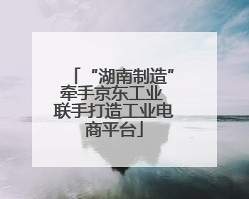 “湖南制造”牵手京东工业 联手打造工业电商平台
