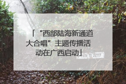“西部陆海新通道大合唱”主题传播活动在广西启动