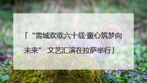 “雪域欢歌六十载·童心筑梦向未来” 文艺汇演在拉萨举行