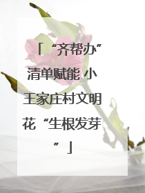 “齐帮办”清单赋能 小王家庄村文明花“生根发芽”