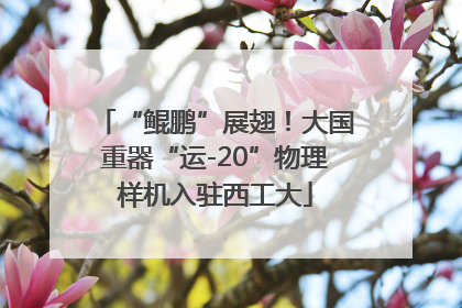 “鲲鹏”展翅！大国重器“运-20”物理样机入驻西工大