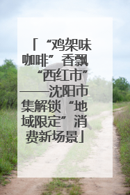 “鸡架味咖啡”香飘“西红市”——沈阳市集解锁“地域限定”消费新场景