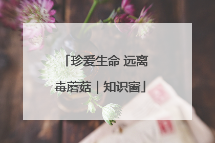 珍爱生命 远离毒蘑菇｜知识窗