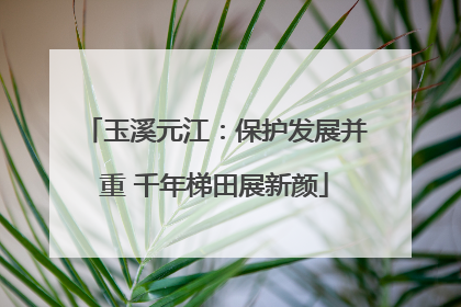 玉溪元江：保护发展并重 千年梯田展新颜