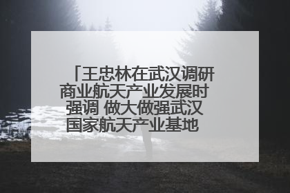 王忠林在武汉调研商业航天产业发展时强调 做大做强武汉国家航天产业基地 打造具有全国影响力的“中国星谷”