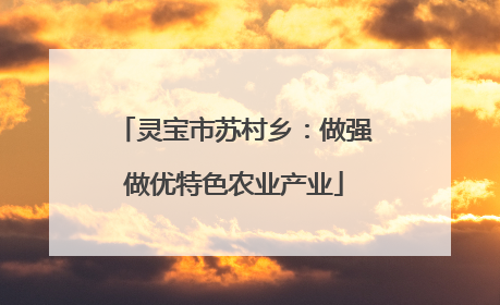 灵宝市苏村乡：做强做优特色农业产业