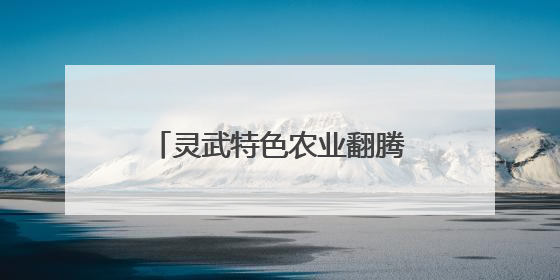灵武特色农业翻腾振兴“致富浪”