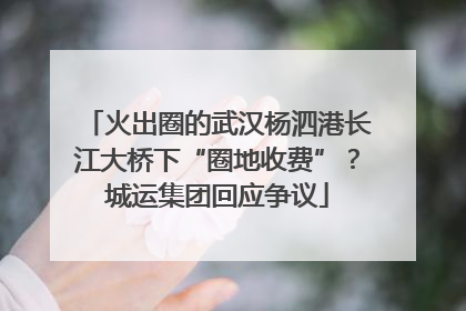 火出圈的武汉杨泗港长江大桥下“圈地收费”？城运集团回应争议